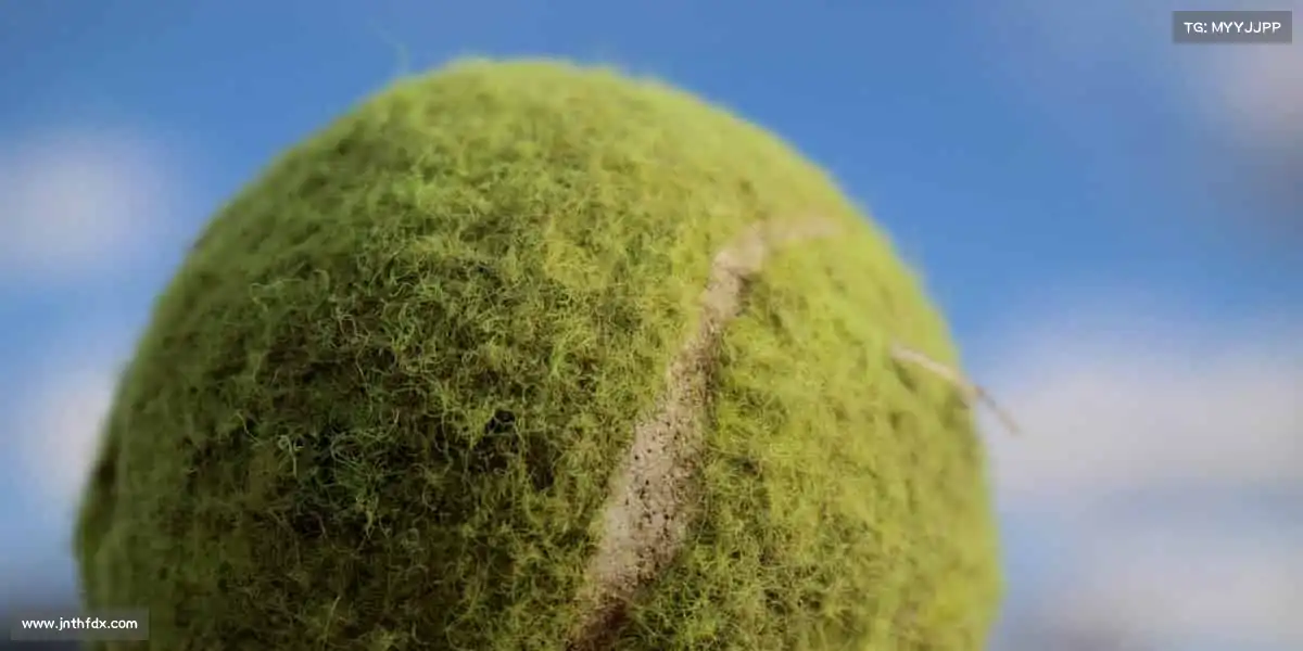 <strong>米兰官网</strong>🏊‍♀️在水中自由舒展，每一次划动都是与自己的深度对话！