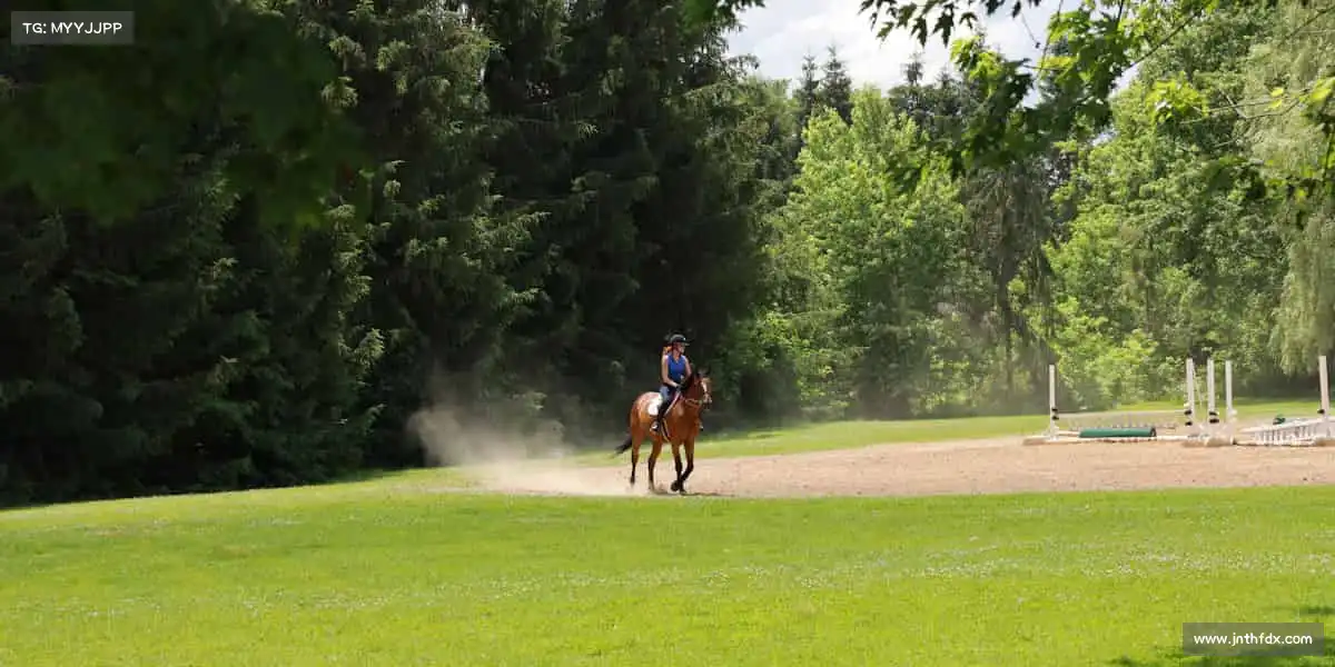 我们的核心竞争力